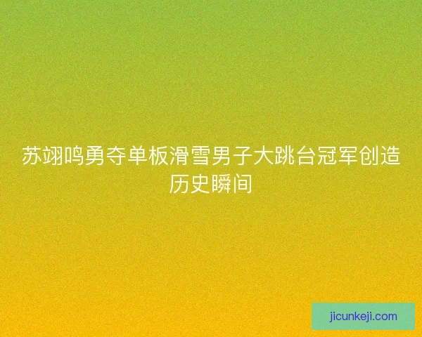 苏翊鸣勇夺单板滑雪男子大跳台冠军创造历史瞬间