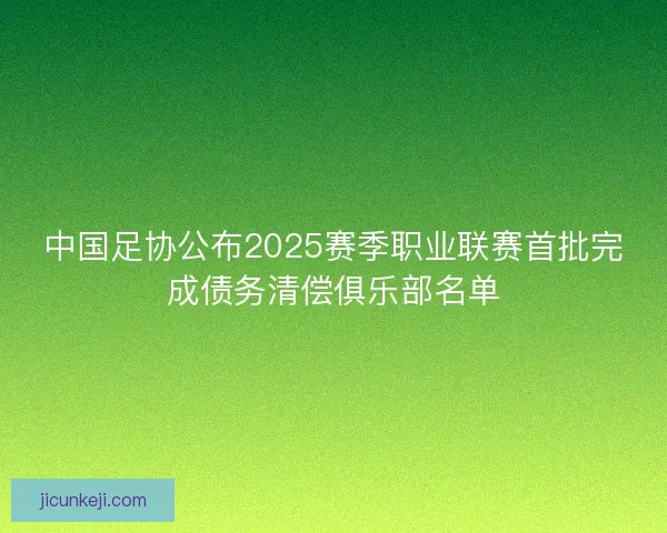 中国足协公布2025赛季职业联赛首批完成债务清偿俱乐部名单
