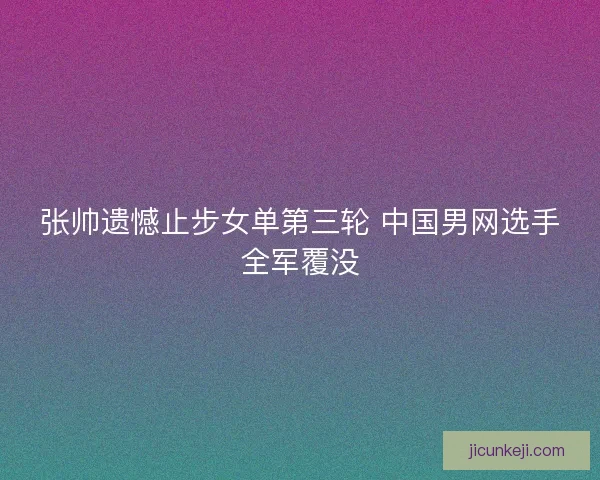 张帅遗憾止步女单第三轮 中国男网选手全军覆没